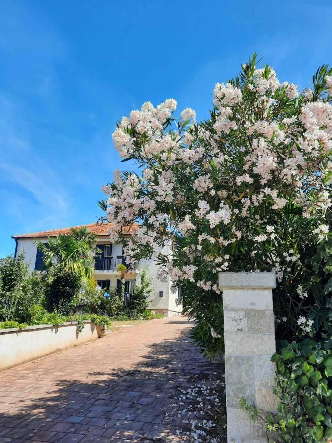 Apartments Palm House Rovinj Exterior foto