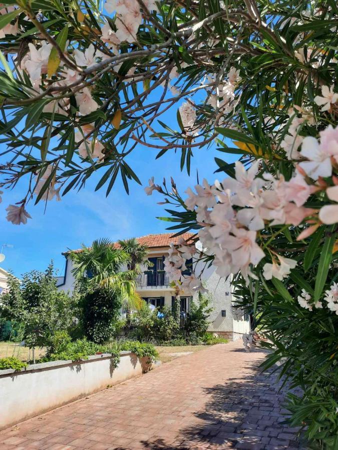 Apartments Palm House Rovinj Exterior foto