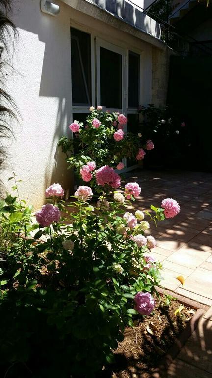 Apartments Palm House Rovinj Exterior foto